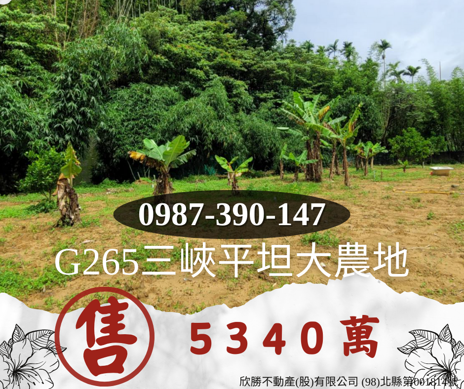 G265三峽平坦大農地