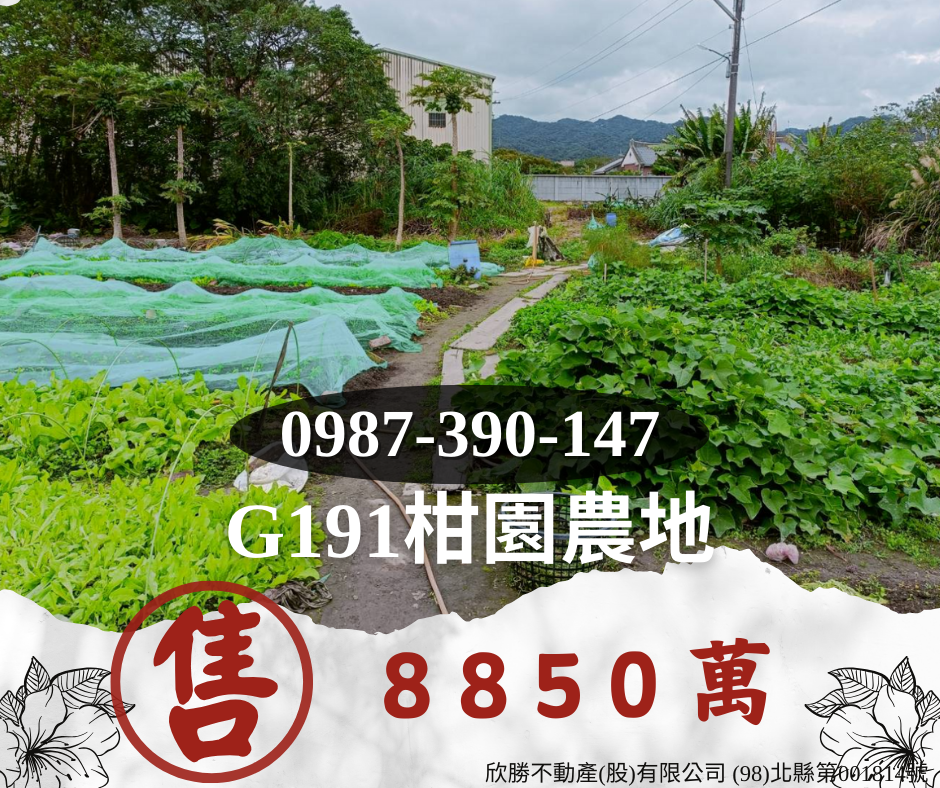 G191柑園農地